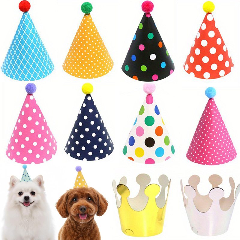 11pcs 박제 동물을위한 다채로운 미니 파티 모자 애 - Party Hat Cone 리뷰 및 가격