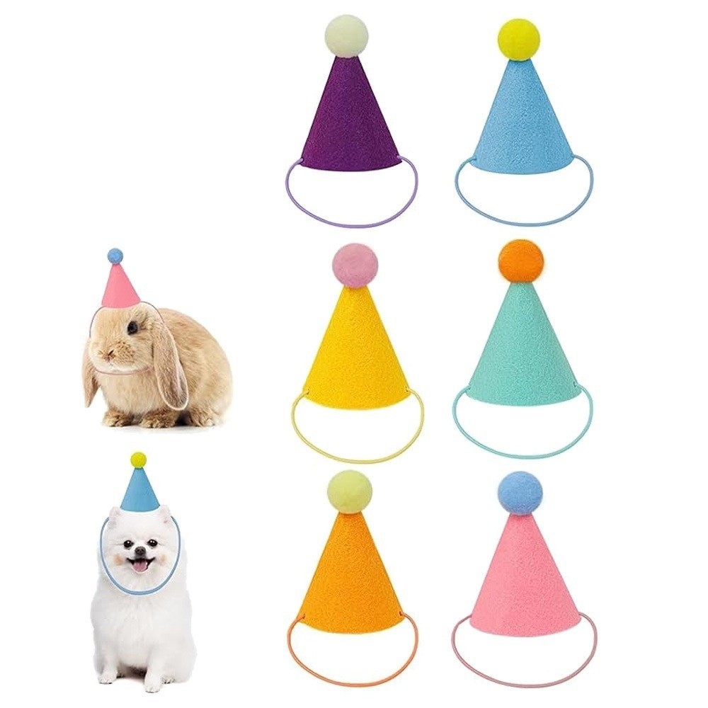 6개 또는 12개 세트의 귀여운 미니 애완동물 파티 모 - Party Hat Cone 리뷰 및 가격