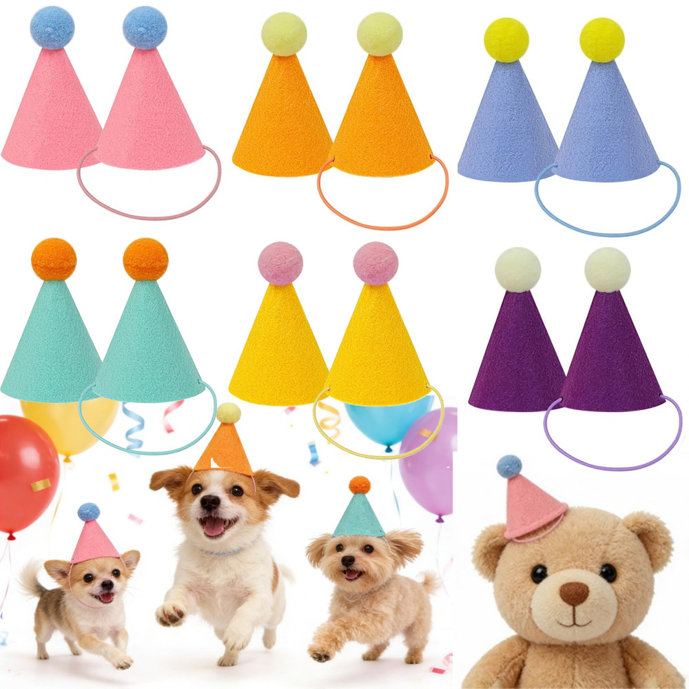 3/6개 애완동물 파티 모자, 다채로운 미니 파티 모자 - Party Hat Cone 리뷰 및 가격