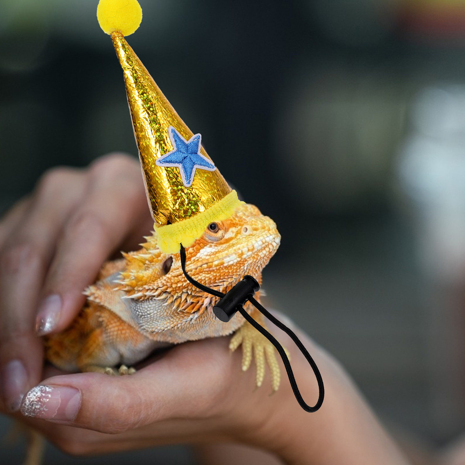 할로윈용 애완동물용 도마뱀 모자 1개, 부드러운 천 소 - Party Hat Cone 리뷰 및 가격